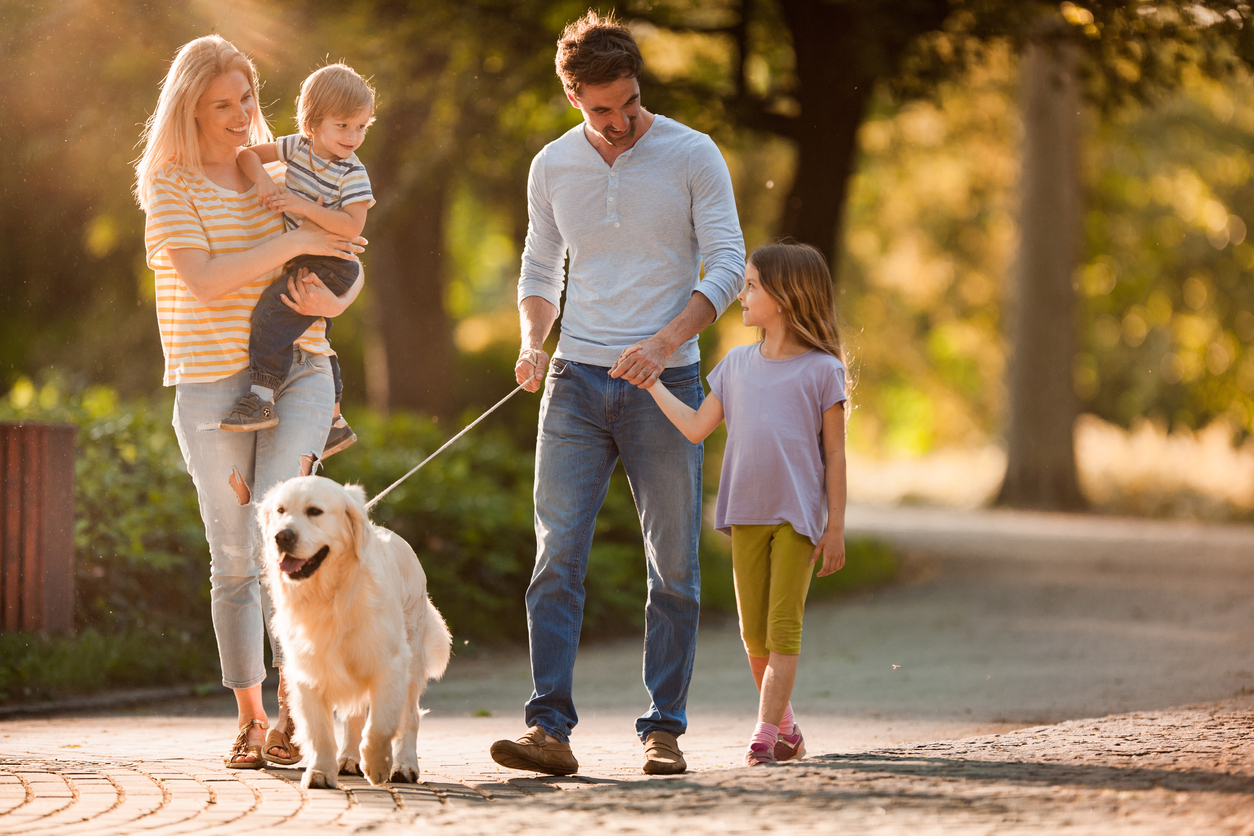 “A Good Time To Sell?” Our Property Experts Advise